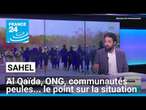 Sahel : Al Qaïda, ONG, communautés peules... le point sur la situation • FRANCE 24