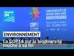 La COP16 sur la biodiversité touche à sa fin mais pas de texte final en vue • FRANCE 24