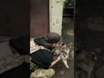 ВТЕКЛИ й ЗАЛИШИЛИ ПОМИРАТИ у ВОЛЬЄРІ! Бійці 24 БРИГАДИ ВРЯТУВАЛИ СОБАКУ з Костянтинівки