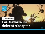 Canicule : comment les travailleurs s'adaptent aux fortes chaleurs • FRANCE 24