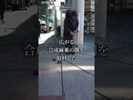 【ゾンビランド】超大国むしばむ最悪薬禍　米フィラデルフィア