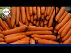 Grimmway Farms says all carrots on store shelves are safe after E. coli outbreak