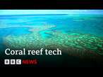 Could tech protect our coral reefs? | BBC News