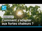 Travail matinal et rythmes de vie modifiés, comment s'adapter aux canicules ? • FRANCE 24