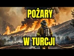 „Dzieci Ognia” przyznają się do podpaleń w wakacyjnym raju | Izmir, Bodrum i Antalya