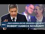 ROBERT HABECK: Attacke auf AfD, Union und FDP! 