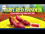 ‘Ruby Red Handed: Stealing America's Most Famous Pair of Shoes’ Trailer