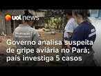 Governo analisa suspeita de gripe aviária no Pará; país investiga 5 casos
