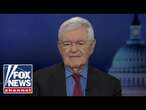 Newt Gingrich: The Democrats went nuts