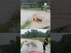 Baby deer rescued from flood waters in Indiana