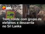 Elefantes são atropelados por trem no Sri Lanka; 6 animais morreram no local; veja vídeo