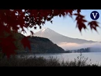 Niebla y hojas de otoño envuelven el monte Fuji de Japón