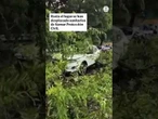 Un árbol cae sobre un coche mientras circulaba en el distrito de Salamanca (Madrid) #Árbol #Coche