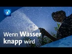 Hitze: Städte und Landkreise rufen zum Wassersparen auf
