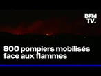 Ardèche, Martigues, Brocéliande, Fréjus... La France en proie aux flammes