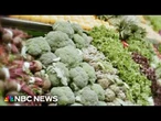 Taylor Farms and Taco Bell removes iceberg lettuce amid parasite outbreak