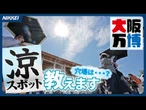 【大阪万博】暑さしのぐ「涼スポット」 記者イチオシの穴場
