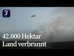 Waldbrand bei Bordeaux eingedämmt