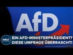 AFD: Auf dem Weg zur Macht? Verblüffende INSA-Umfrage vor den Landtagswahlen: AfD Ministerpräsident?
