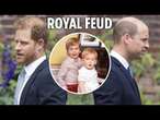 William and Harry were NOT always close - Princess Diana told me truth