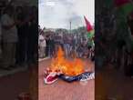 Protesters burn American flag