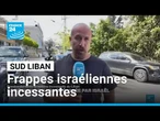 Frappes israéliennes incessantes dans le sud du Liban • FRANCE 24