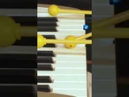 In dieser englischen Band spielen Pflanzen und Pilze Instrumente #musik #tagesschau #nachrichten