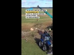 Condenan a cuatro años de cárcel a los dos hombres que talaron un árbol en el Muro de Adriano #short