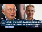 KANZLER-DRAMA: Kurioses AfD-Verhalten zur Abstimmung "Da hätte man Merz in Schwierigkeiten gebracht"