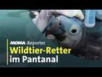 Wildtierretter im brennenden Urwald | ARD-Morgenmagazin