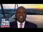 Sen. Tim Scott: Democrats are losing their minds because they're losing voters