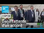 COP28 : un nouveau projet d'accord attendu ce lundi à Dubaï • FRANCE 24
