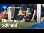 Magdeburg: Ein Dackel kämpft um den Titel | tagesthemen mittendrin