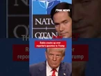 Trump, Rubio lose it over hilarious 'daddy' question #shorts #foxnews #news #us #fox #trump #nato