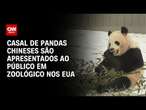 Casal de pandas chineses são apresentados ao público em zoológico nos EUA | CNN BRASIL