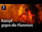 Portugal: Schwere Waldbrände nähern sich Wohnhäusern