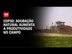 COP30: adubação natural aumenta a produtividade no campo | CNN NOVO DIA