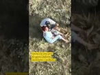 Localizan a dos ancianos con alzhéimer que se habían desmayado en un campo de Leganés