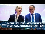 DEUTSCHLAND: Brisante Studie! AfD punktet bei Migranten! Vor allem eine Nationalität weit vorne