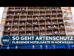 NORWEGEN: Vardøya zeigt, wie Artenschutz geht – Mit einem ganz besonderen Vogelhotel