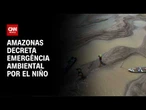 El Niño: Amazonas decreta emergência ambiental em todo o território | CNN 360º