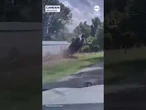 Baby ejected from vehicle during Arkansas police chase crash