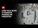 Leão persegue pessoas após escapar no Paquistão | BOLETIM CNN
