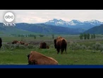 '7 Natural Wonders of America': Yellowstone National Park