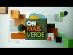 CNN Mais Verde: Girassol híbrido aumenta produção de óleo no Brasil | CNN NOVO DIA