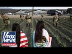 NEW: ICE raid uncovers unaccompanied migrant kids on cannabis farm