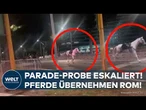 AUSNAHMEZUSTAND IN ROM: Chaos auf vier Hufen! Paradepferde legen Verkehr lahm!