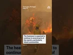 Volunteers in Portugal help firefighters battle a wildfire as temperatures reach 109 degrees