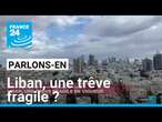 Liban, une trêve fragile ? Parlons-en avec B. Nabli, D. Rigoulet-Roze, B. Daroux et S. Berberi