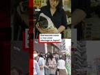 Did tourists cause a 'rice crisis' shortage in Japan? #Rice #Japan #BBCNews